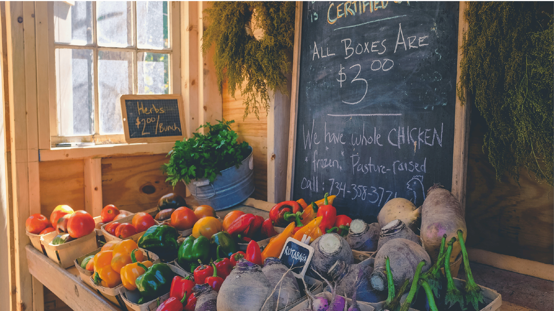 Farmers Market Management Software: Streamline Your Market Today